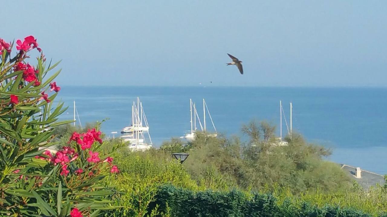 Porteo - Les Terrasses Du Port Centuri Esterno foto